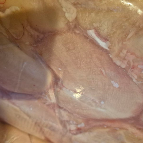 ���� ������ ������� 20 ��. 2*10. ������� (�����)-���� �� 1000 �,���������,����������